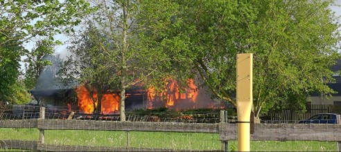 Einsatzfoto 30042024_Pferdestall.jpg